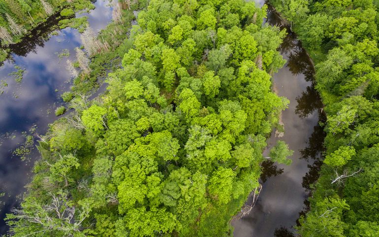 aerial of woods and water