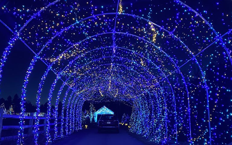 tunnel of light at Gardens Aglow