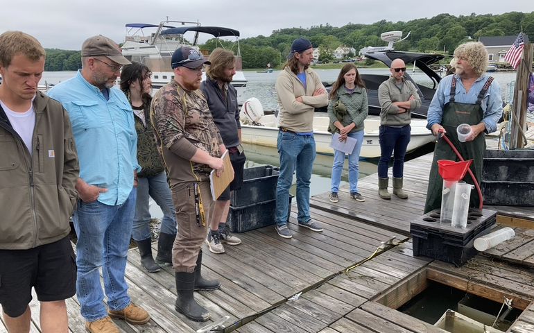 people standing on dock