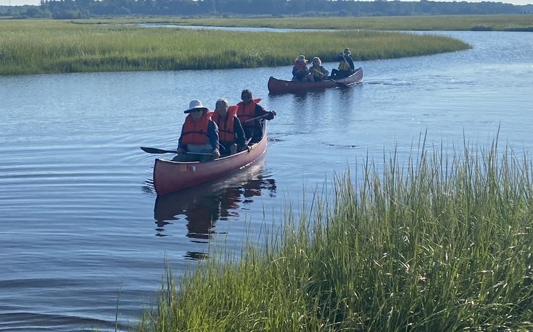 Kayakers on a marsh 