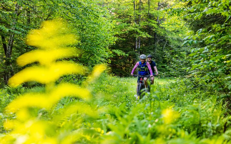 2 people on bikes in woods