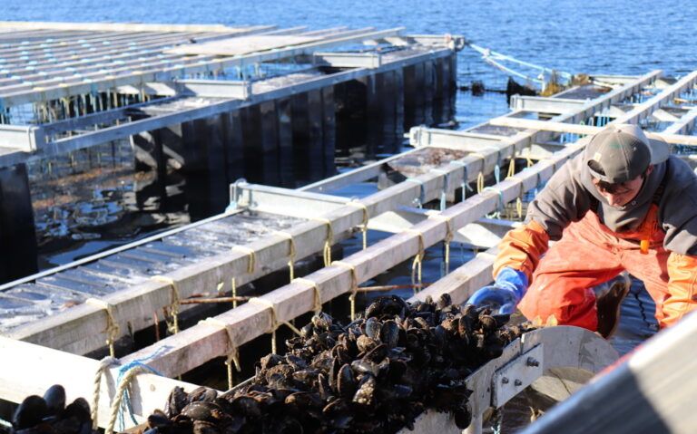 person with mussels on raft