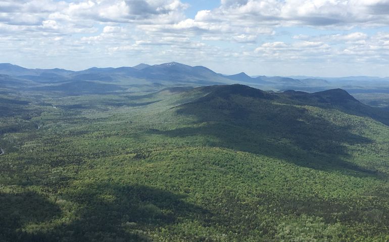 aerial of forest and woods
