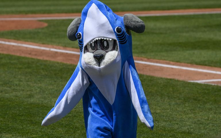 Slugger in Baby Shark outfit at Hadlock Field.