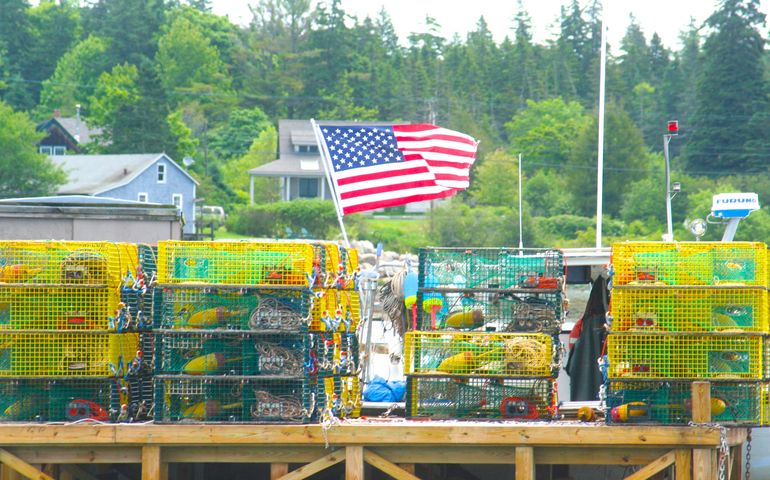 traps flag dock
