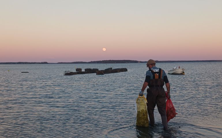 person with net bags in water