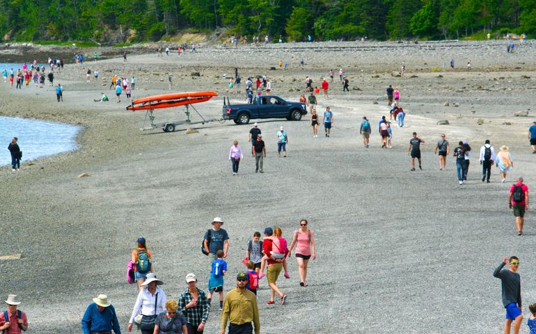 people walking on the beach