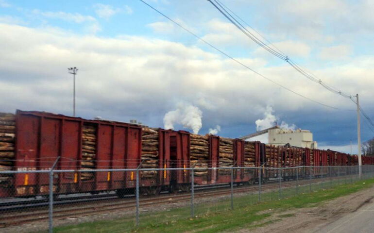 railcars with logs