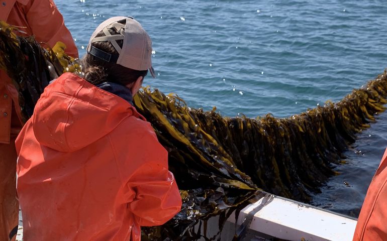 person in orange jacket with line of seaweed