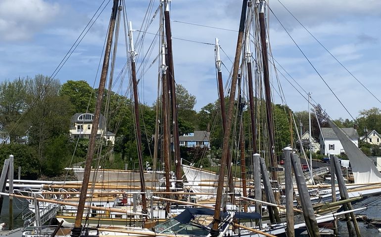 Boats in Camden