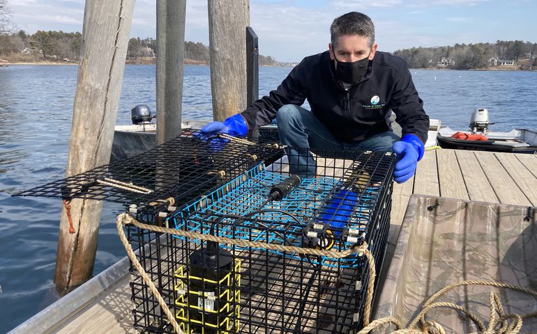 person on dock with trap holding equipment