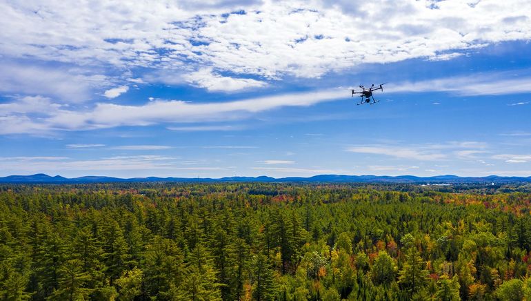 drone sky forest