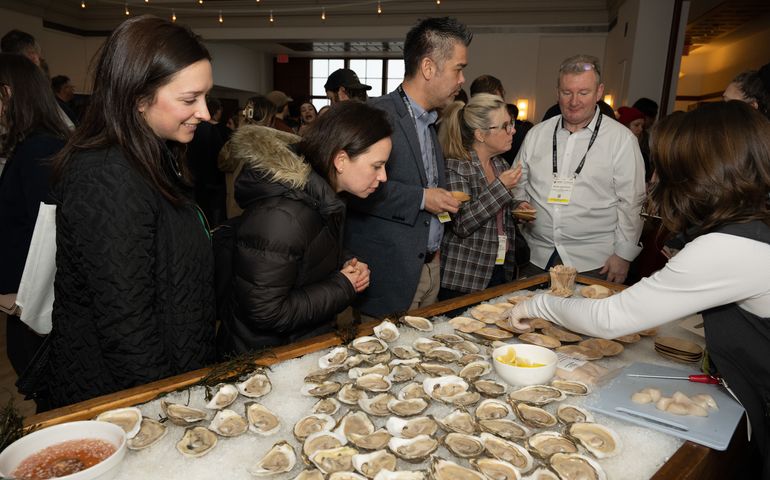 people around oysters on shells on ice