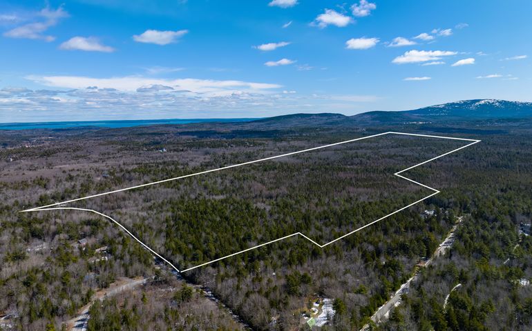 aerial of woods with outline