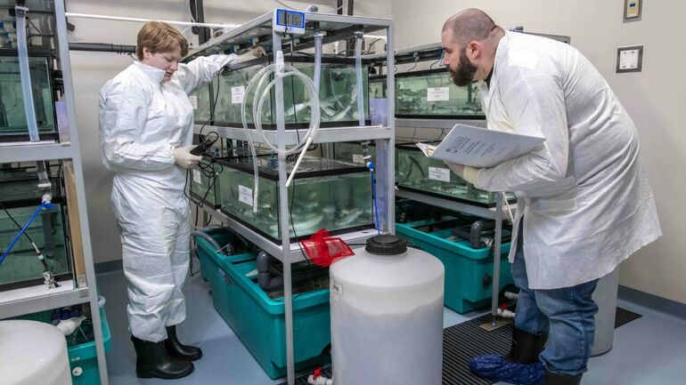 2 people with tanks of water and tubes on shelves