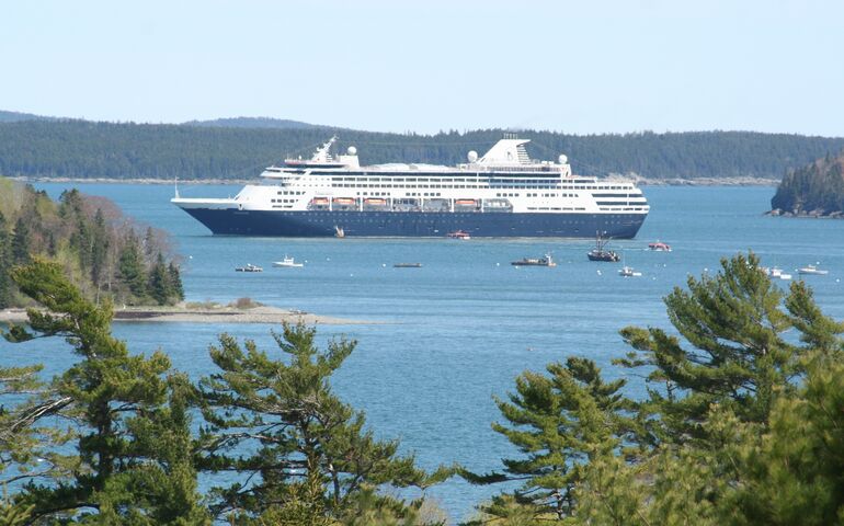 cruise ship in water and trees in foreground