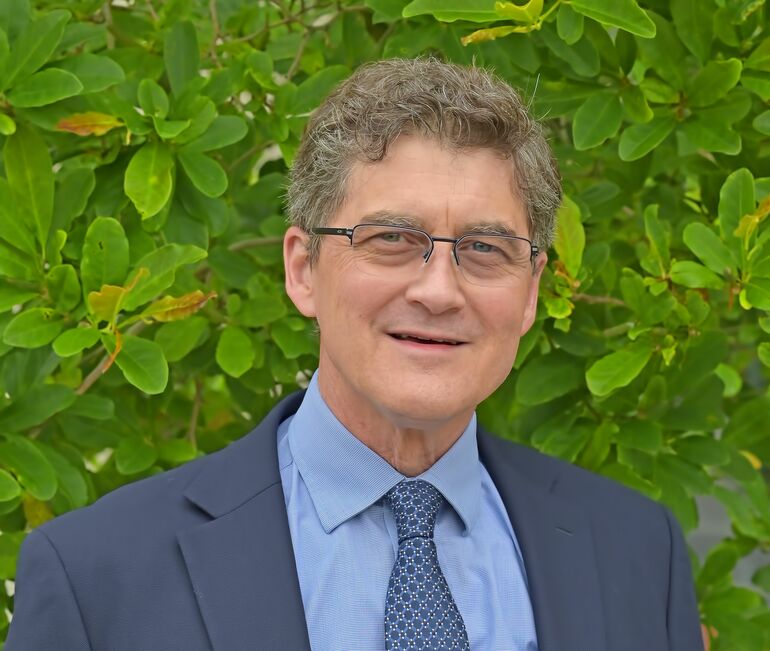 person in front of leafy bush