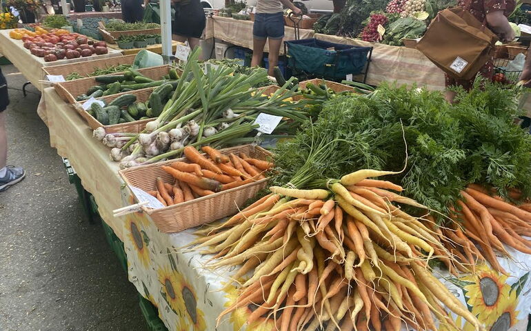Portland Farmers' Market scene