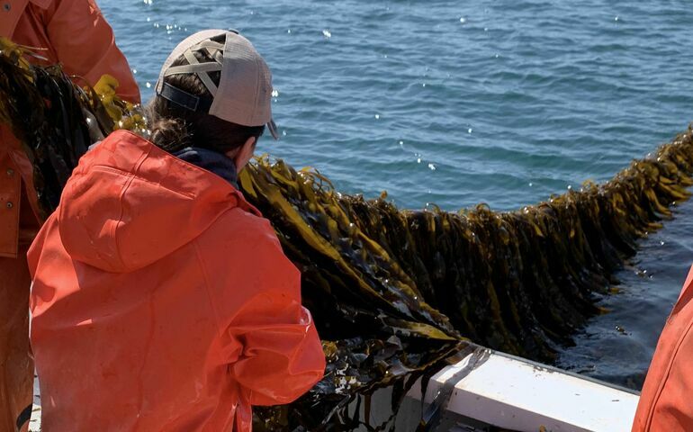 person in orange jacket with line of seaweed