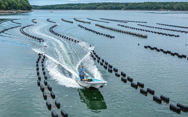 boat wake buoy lines