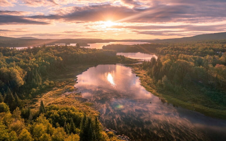 aerial of woods water sun