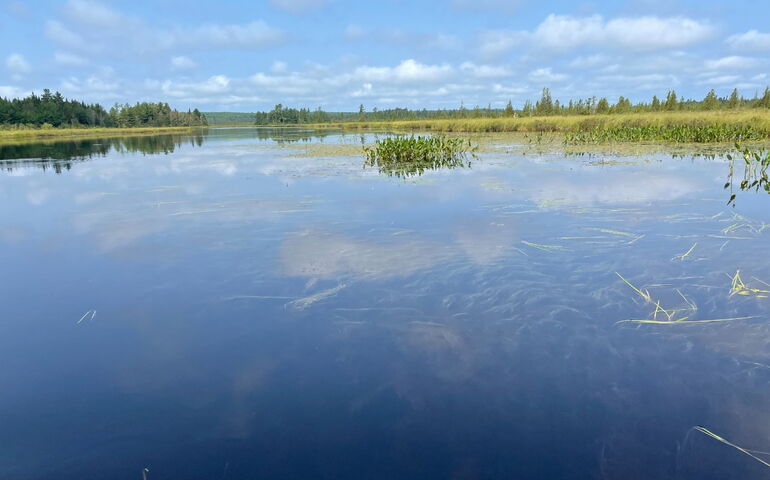 water with sky reflection