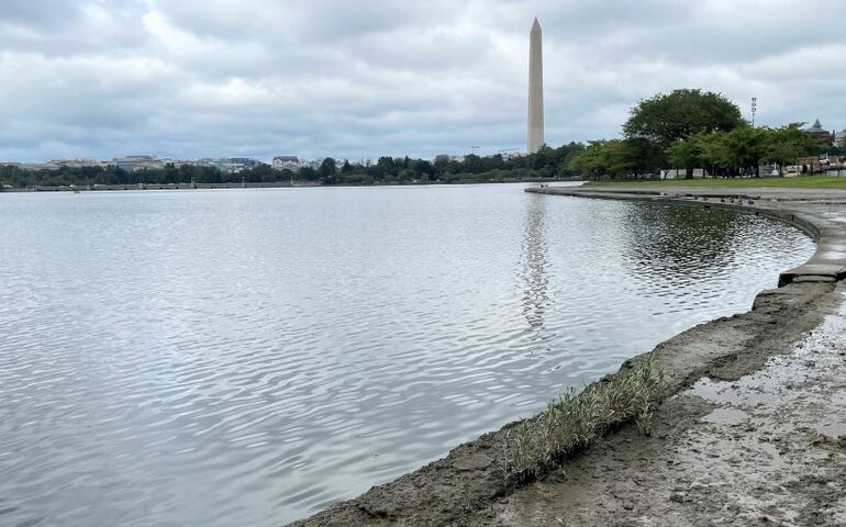 basin with water on gray day