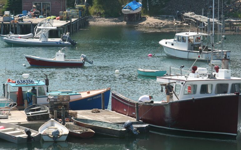 boats and harbor
