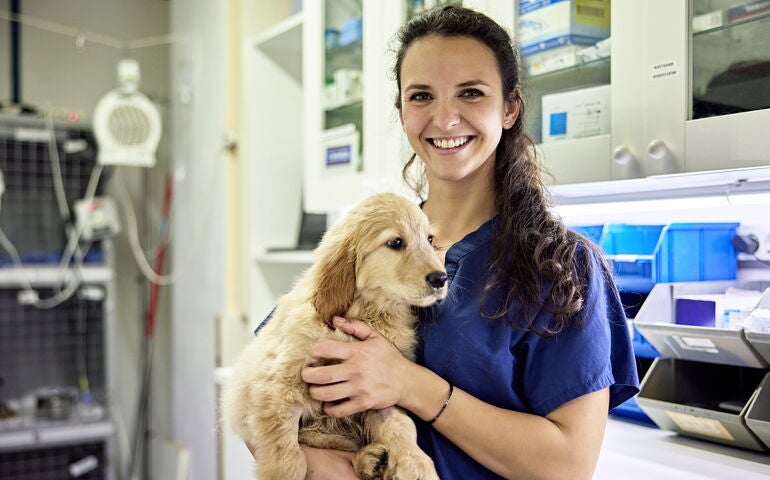 Vet with a canine patient 