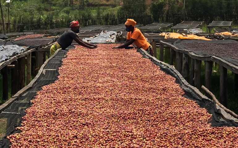 2 people and line of beans