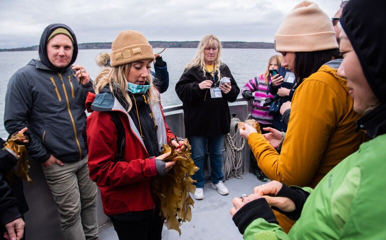 group of people on boat deck with kelp