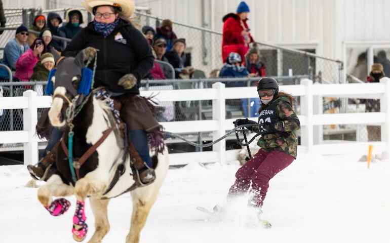 Skijoring in action 