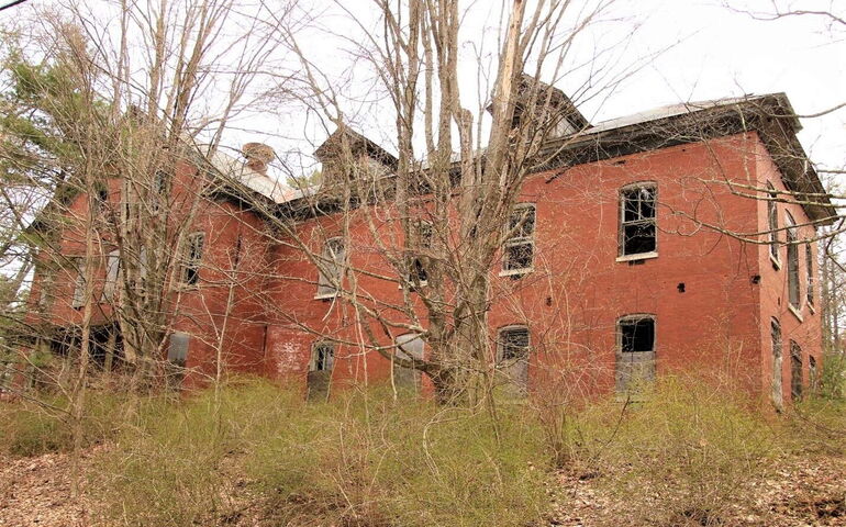 derelict red brick bilding wih overgorwn grass and scrub