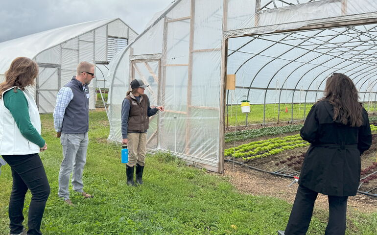 4 people looking at greenhouse