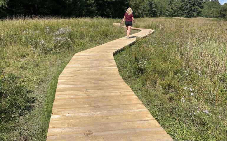 wood walk with person at end and field