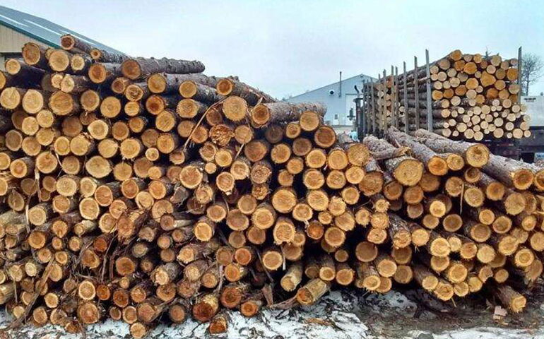 pile of logs