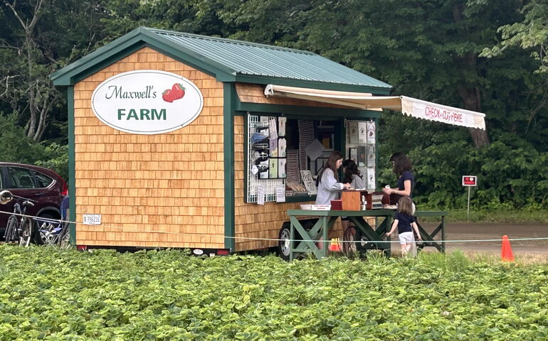 Farm stand 