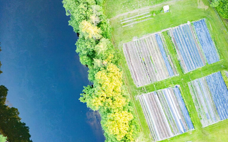 This aerial view shows fields, woods and water.