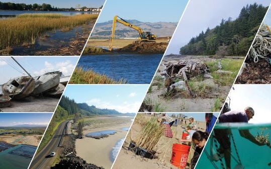 A collage of images shows sections of shoreline and water.