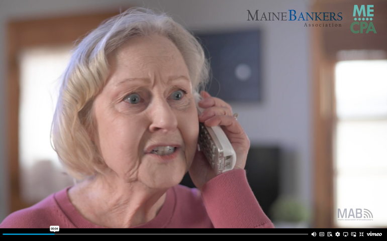 Screen shot from ad by Maine Bankers Association and Maine Society of CPAs 