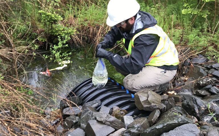 A person squats by a culvert and holds a water sample.