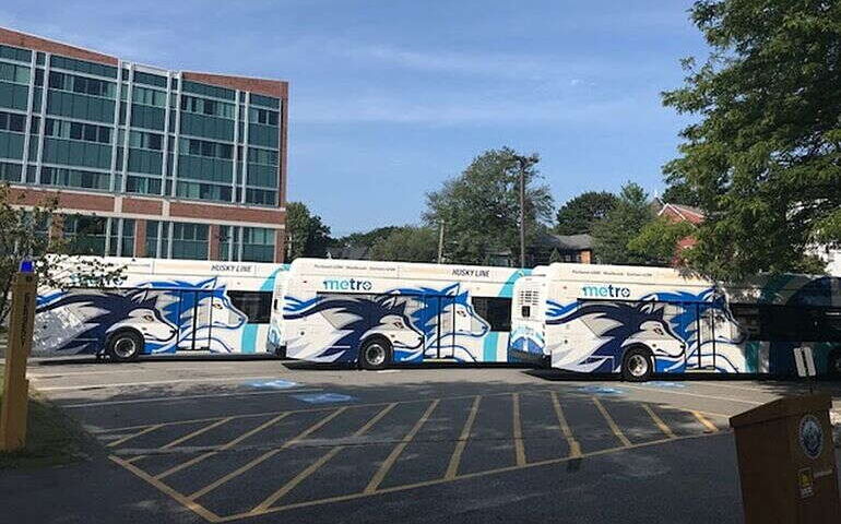 Buses are parked in a parking lot.