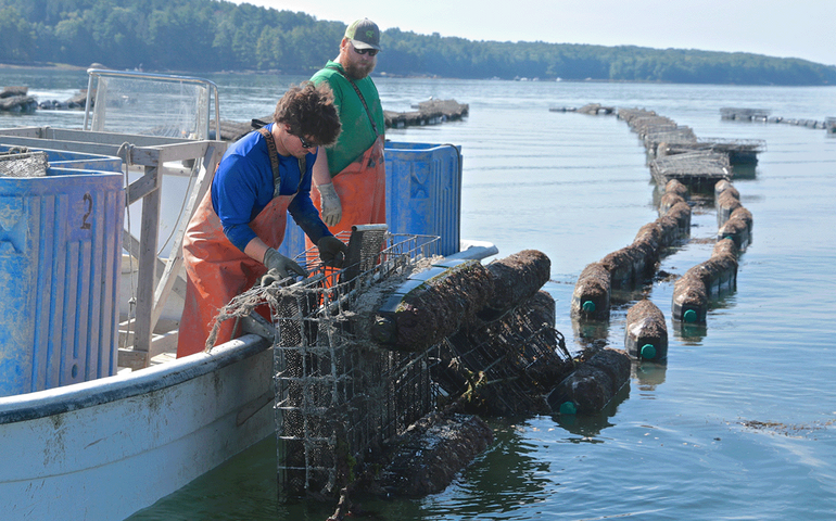 two people stand on a boat pulling up a cage.