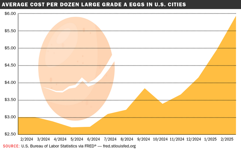 Egg price chart 
