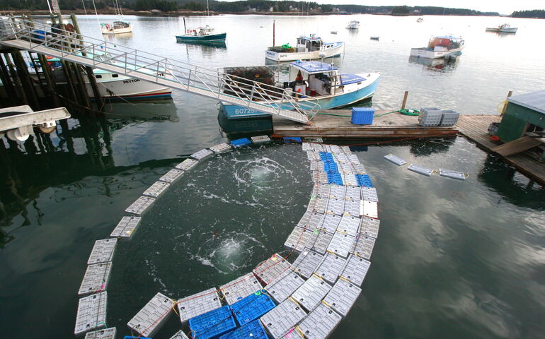 Lobster cars and boats sit in the water.