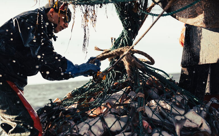 A person hauls a net full of fish.