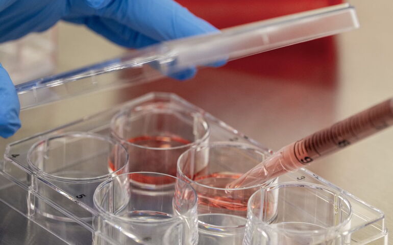 Gloved hands hold pipettes.
