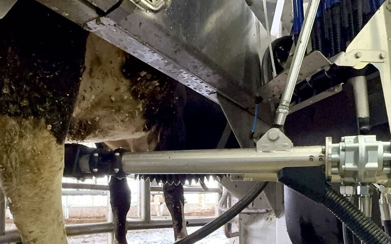 A partial view of a cow and machine.
