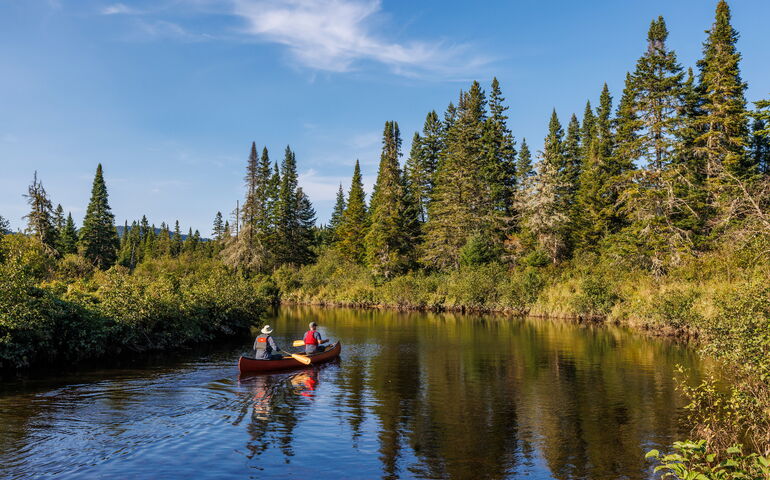 Two people are in a boat with paddles on a water body.