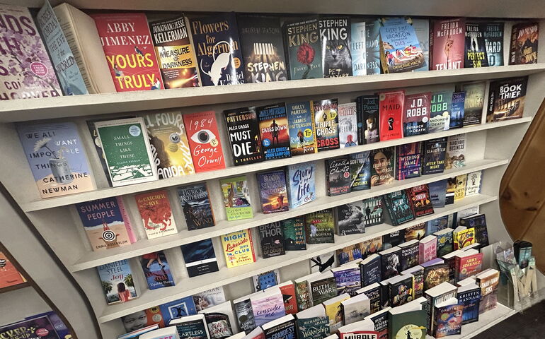 Inside of a store in Greenville with books on the shelves 